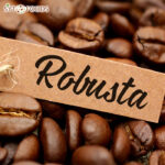 Robusta coffee